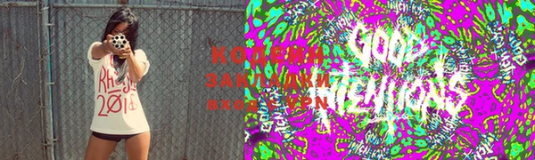кокс Михайлов