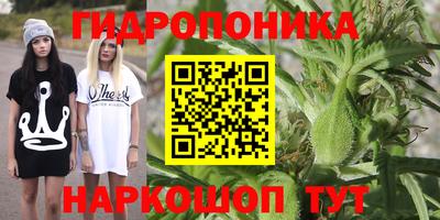 трава Апшеронск