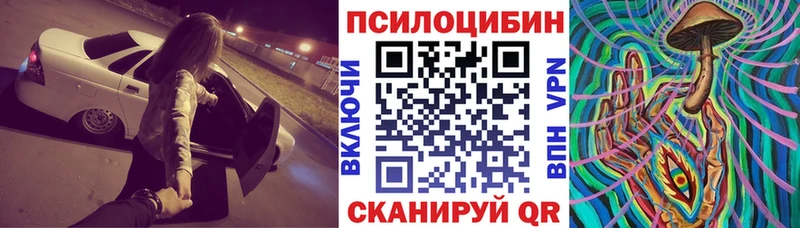 Псилоцибиновые грибы Psilocybine cubensis  Ялуторовск 