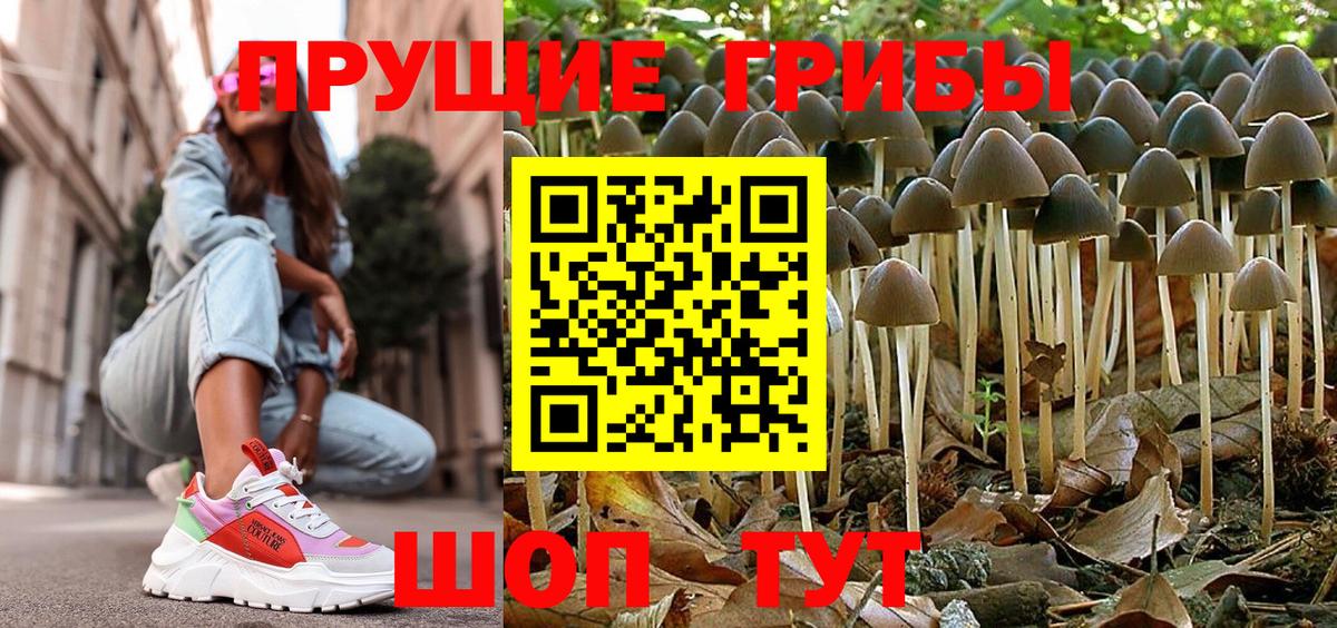 Псилоцибиновые грибы GOLDEN TEACHER Ялуторовск