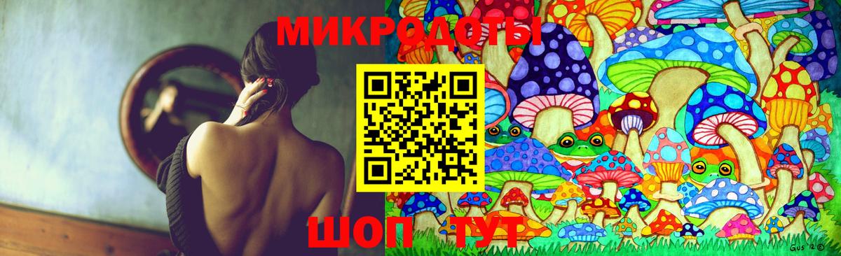 Псилоцибиновые грибы Cubensis Ялуторовск